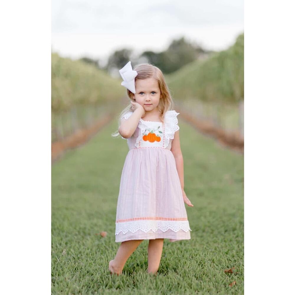 Smocked Sweets Lavender Pumpkin Patch Dress Size 3T - Picture 6 of 6
